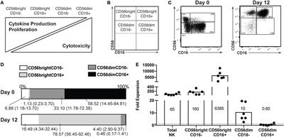 An Uncoupling of Canonical Phenotypic Markers and Functional Potency of Ex Vivo-Expanded Natural Killer Cells